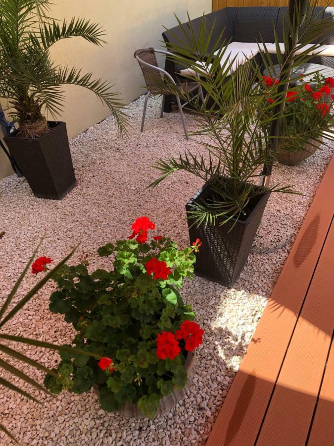 Mosoly Apartman Szeged Exteriör bild